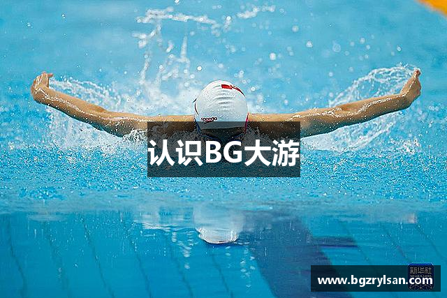 认识BG大游